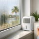 How to Stop Window Condensation in Orlando Homes